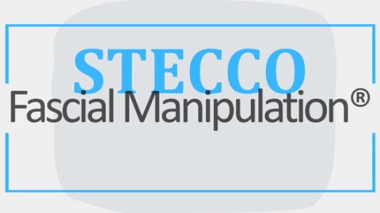 Stecco Fascial Manipulation